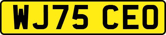 WJ75CEO