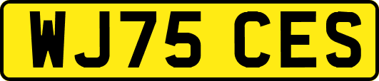 WJ75CES