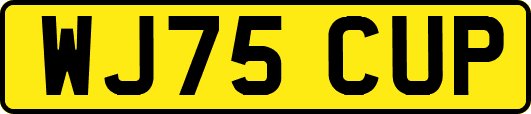 WJ75CUP