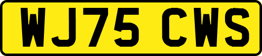 WJ75CWS