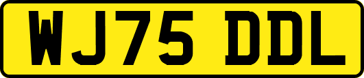 WJ75DDL
