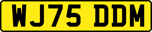 WJ75DDM