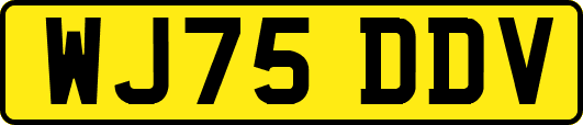WJ75DDV