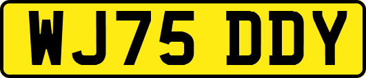 WJ75DDY