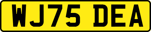 WJ75DEA