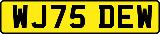 WJ75DEW