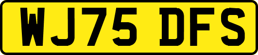 WJ75DFS