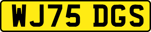 WJ75DGS