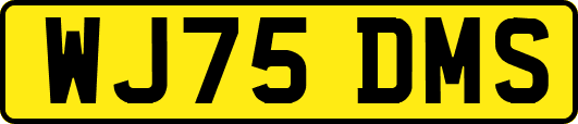 WJ75DMS