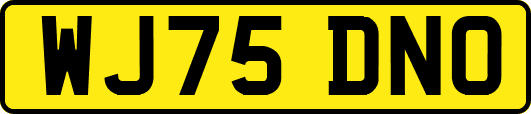 WJ75DNO