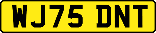 WJ75DNT