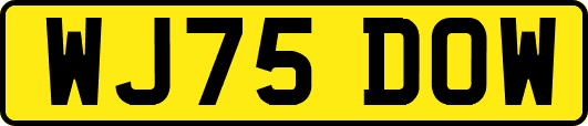 WJ75DOW