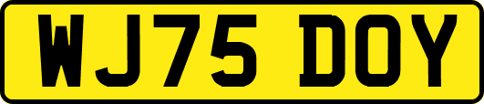 WJ75DOY