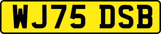 WJ75DSB