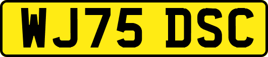 WJ75DSC