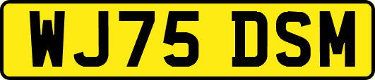 WJ75DSM
