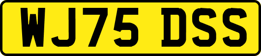 WJ75DSS