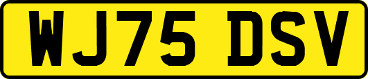 WJ75DSV