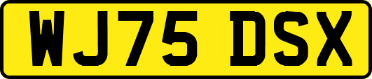 WJ75DSX