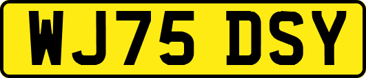 WJ75DSY