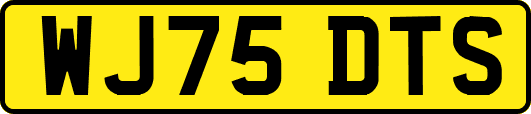 WJ75DTS