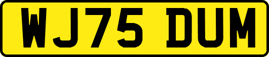WJ75DUM