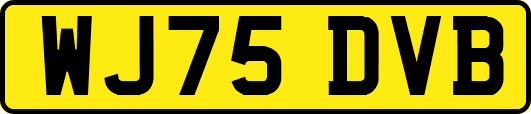 WJ75DVB