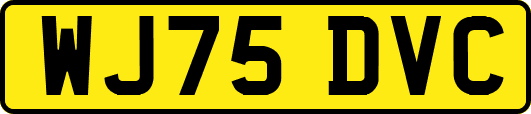 WJ75DVC