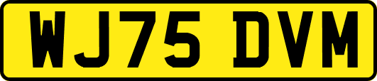 WJ75DVM