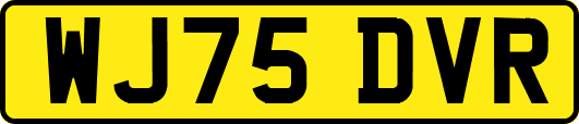 WJ75DVR
