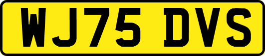 WJ75DVS