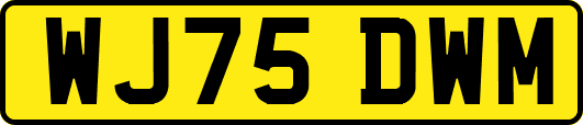 WJ75DWM