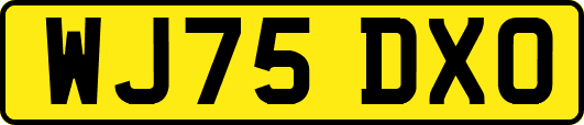 WJ75DXO