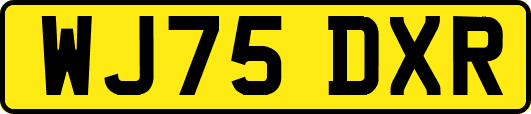 WJ75DXR