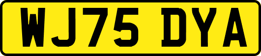 WJ75DYA