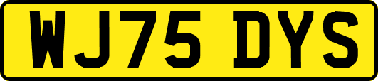 WJ75DYS