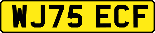 WJ75ECF