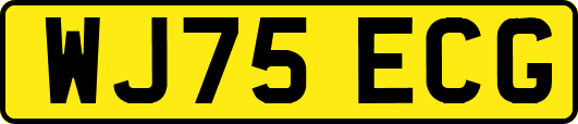 WJ75ECG