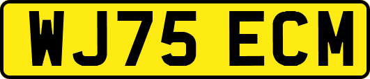 WJ75ECM
