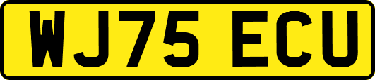 WJ75ECU
