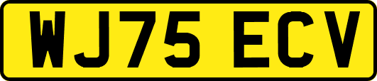 WJ75ECV