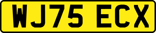 WJ75ECX