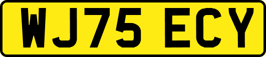 WJ75ECY