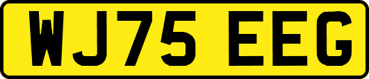 WJ75EEG