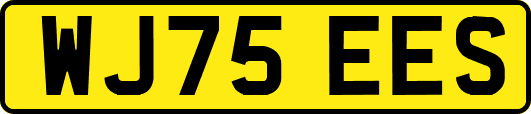WJ75EES