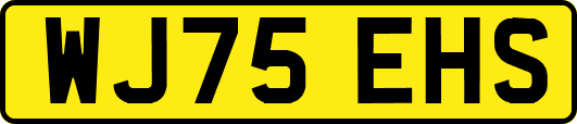WJ75EHS