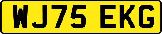 WJ75EKG