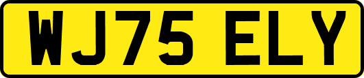 WJ75ELY