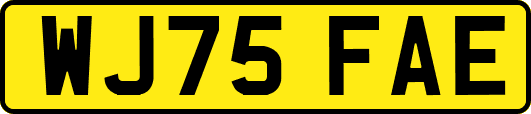 WJ75FAE