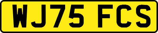WJ75FCS